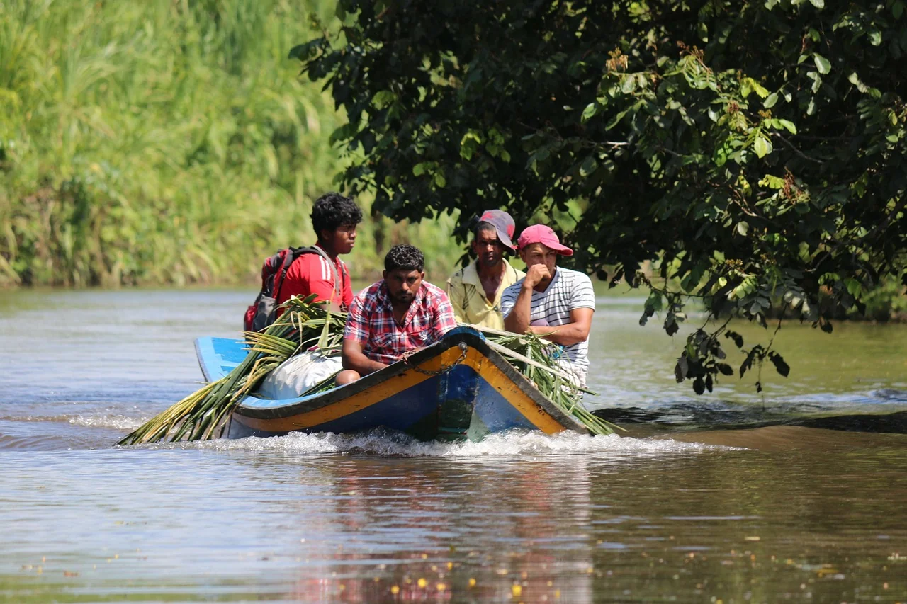 Farmers travelling by boat with harvested sugarcane on a river in Guyana