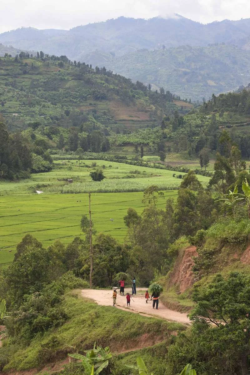 Community life, Uganda region